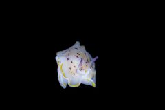 DSC_3542-scaled