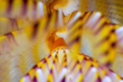 DSC_3892-scaled