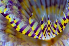 DSC_3893-scaled