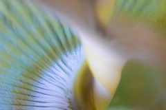 DSC_6129-scaled