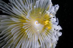 DSC_6859-scaled