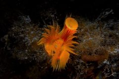 DSC_8876-scaled
