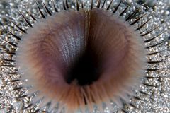 DSC_9071-scaled