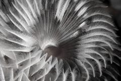 DSC_9620-scaled