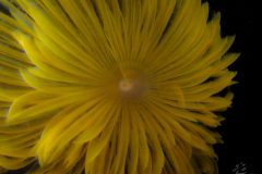 P4280124-scaled